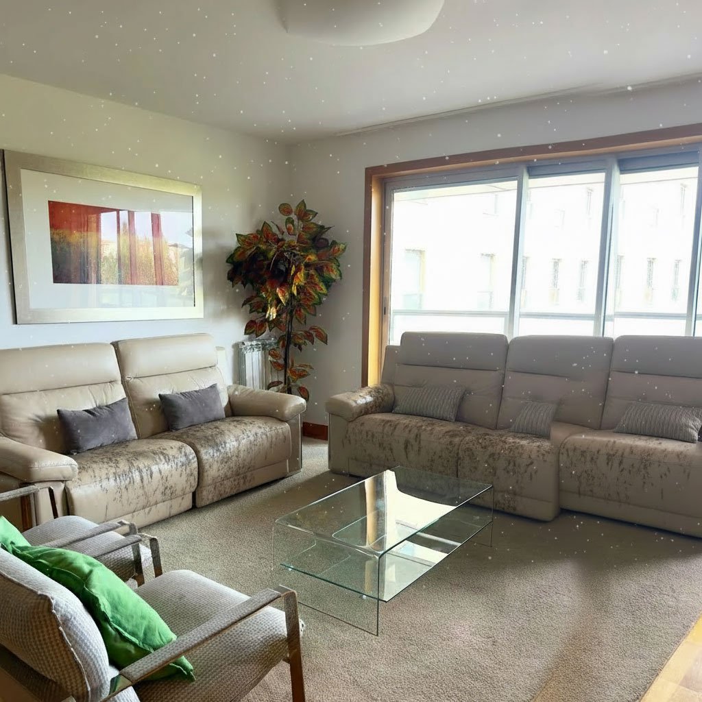 Lisbon mattress cleaning anti allergen service